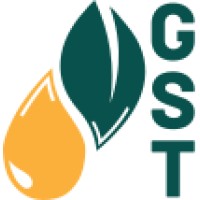 Sustainable Transformation GST global sustainability transformation gst