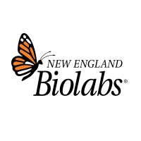 England Biolabs new england biolabs