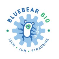 TUM Campus Straubing igem tum campus straubing