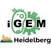 Team Heidelberg igem team heidelberg