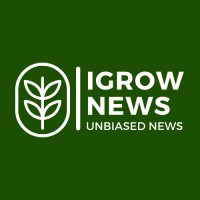 News igrow news